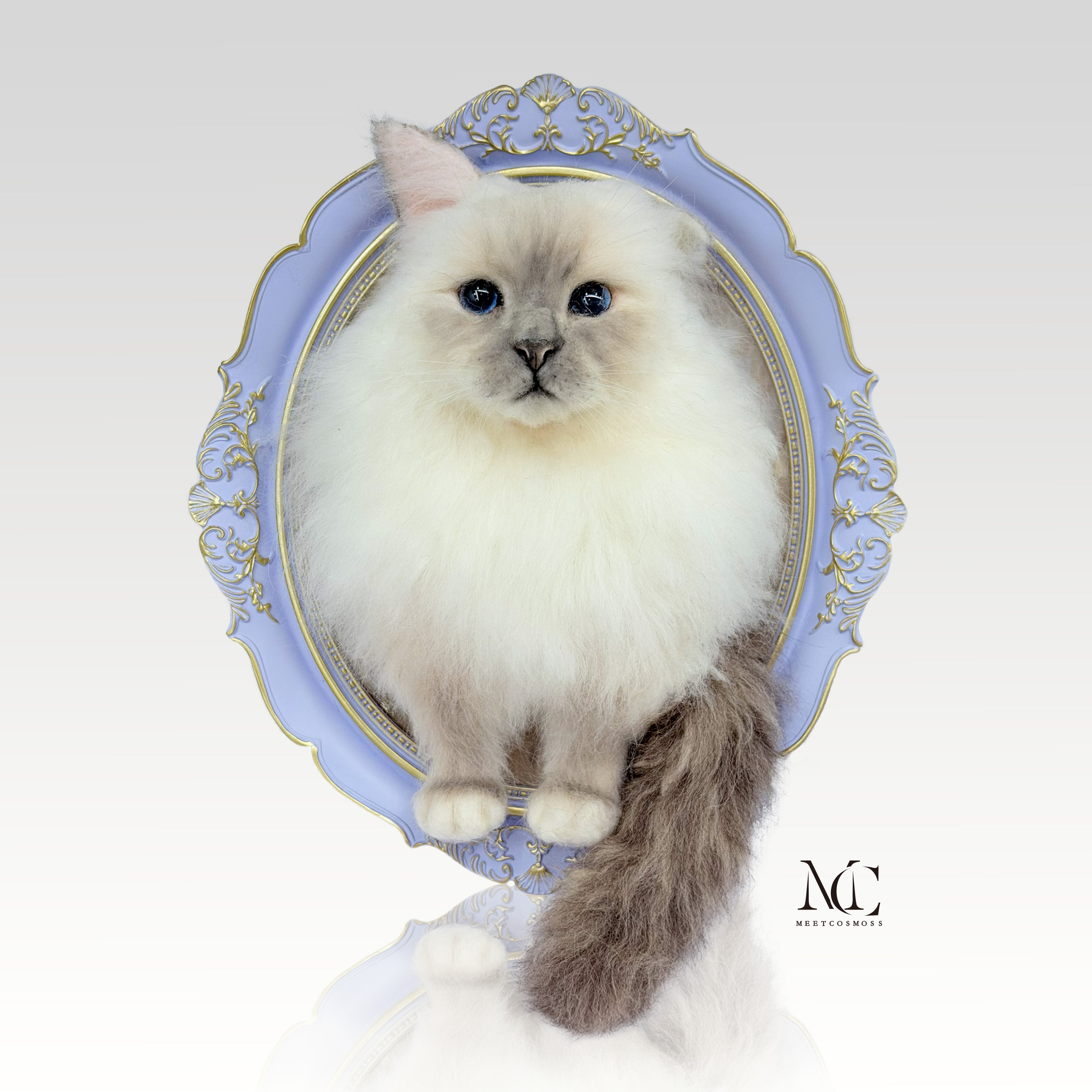 A One-Eared Birman Cat--Framed Portrait-Cat
