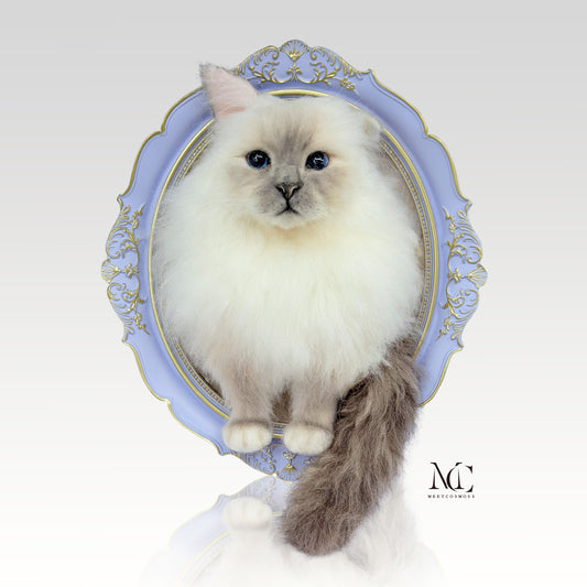 A One-Eared Birman Cat--Framed Portrait-Cat